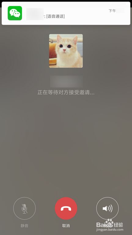 whatsapp聊天背景_whatsapp聊天软件_whatsapp如何聊天