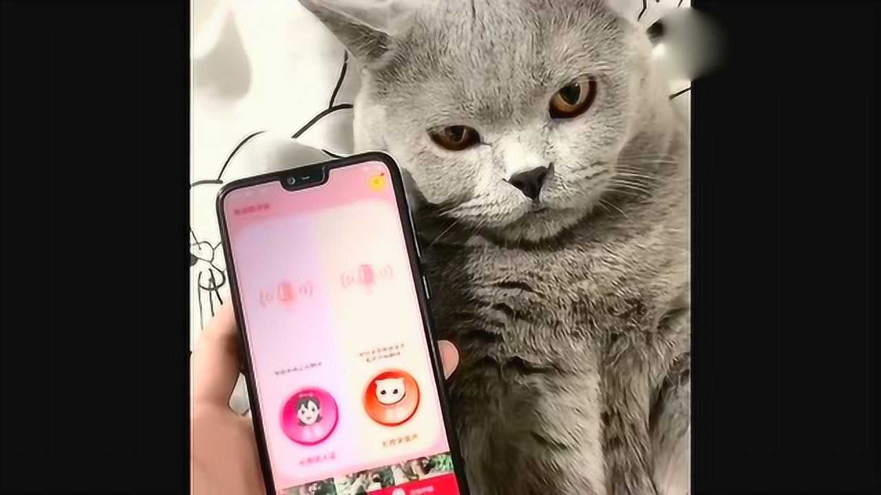 洪都拉斯是哪个国家_whatsapp是那国家_斯里兰卡是哪个国家