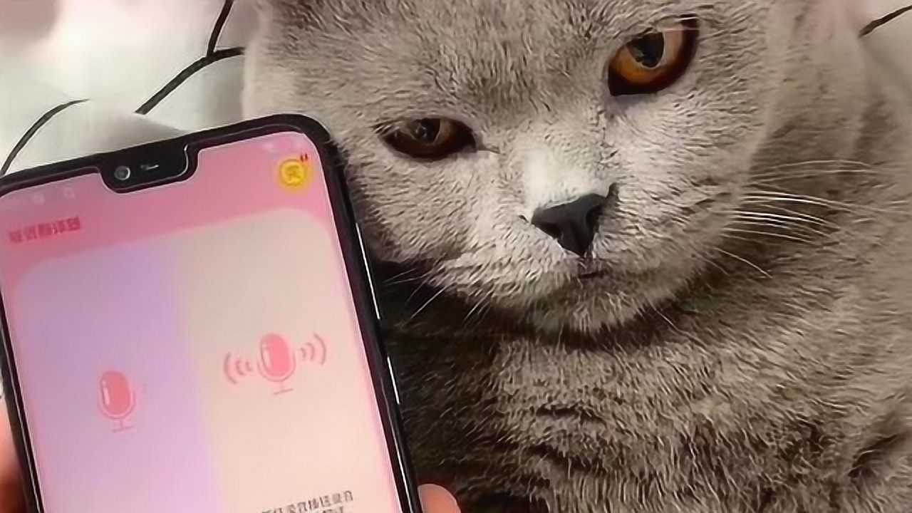 斯里兰卡是哪个国家_whatsapp是那国家_洪都拉斯是哪个国家