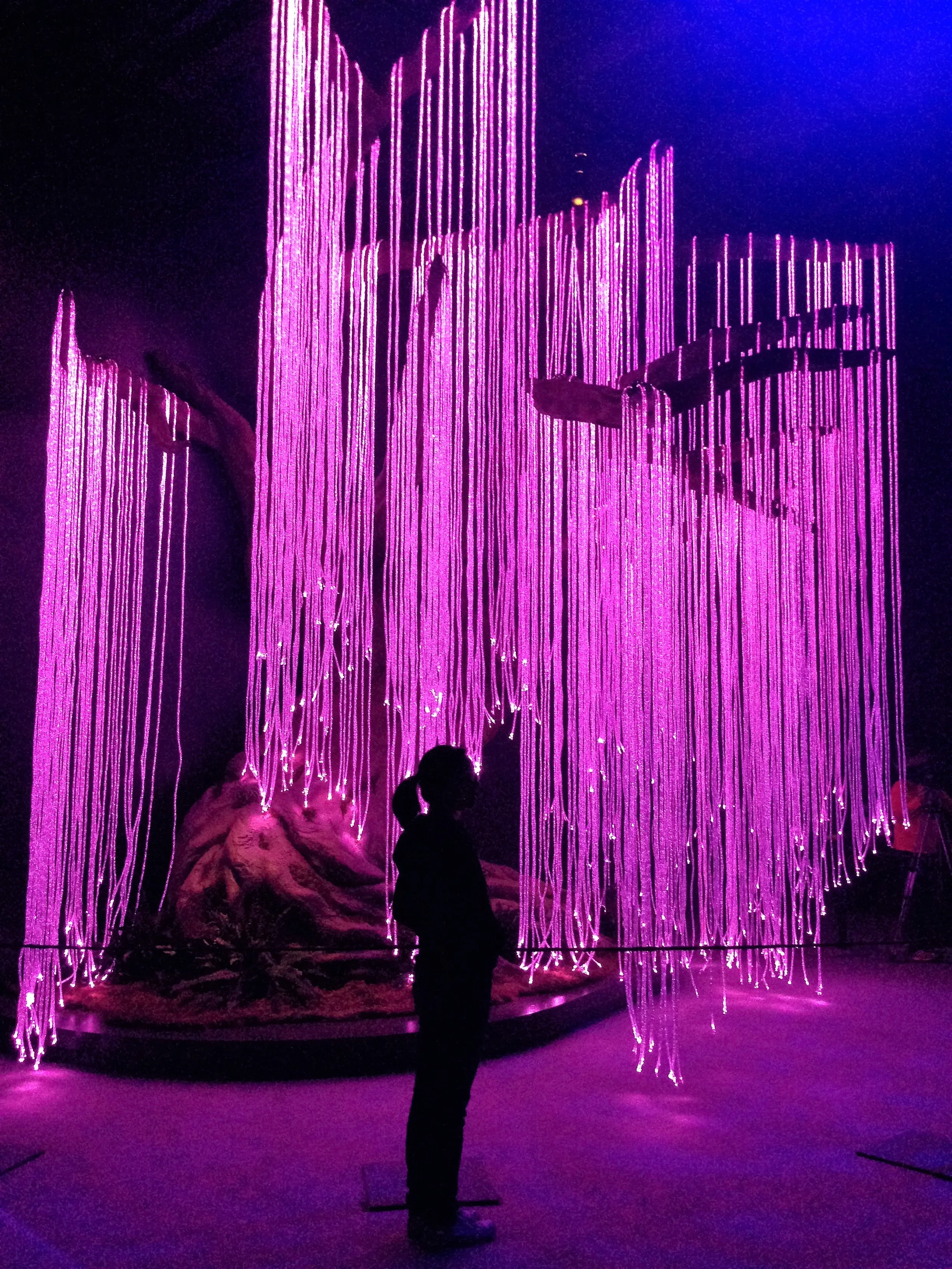 whatsapp官方手机版_官方版手机是什么意思_官方版手机万能钥匙