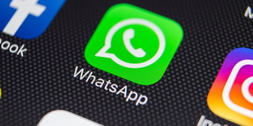 whatsapp收到奇怪的信息,WhatsApp收到奇怪信息？揭秘可能的原因及应对措施