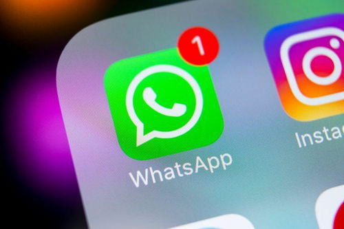 WHATSAPP是什么水果不能,WhatsApp是什么水果？揭秘这款社交软件的神秘面纱