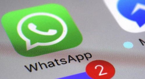 whatsapp上显示无联系人,WhatsApp上显示无联系人的原因及解决方法