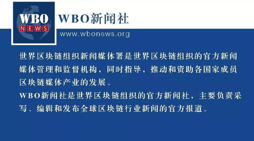 wbo区块链,构建未来数字世界的基石