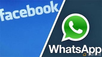 whatsapp用户开发稳定币,WhatsApp用户如何利用社交网络打造稳定币新生态