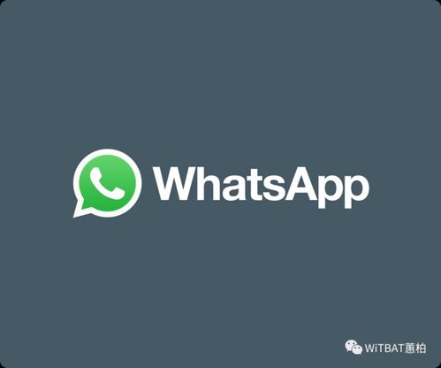 whatsapp0.2.8082.2,深度解析新功能与改进亮点