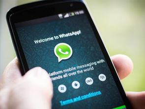 whatsapp不能收照片了,紧急修复指南与常见问题解答