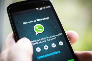 whatsapp 后面的勾,勾选背后的秘密与功能解析”