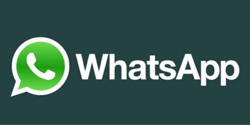 whatsapp 多少人群,从几十人到数千人的社交生态圈探析