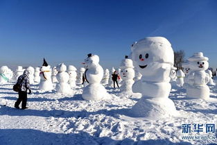 恐怖雪人小镇游戏中文版手机下载安装 