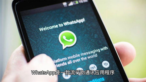 whatsapp被群组移除,揭秘被踢出群组的背后原因