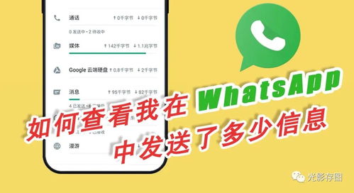 whatsapp动态发送中,揭秘社交巨头的新功能与用户互动新趋势