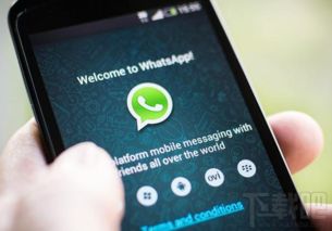 whatsapp打钩的意思,揭秘聊天中的隐含意义与社交礼仪