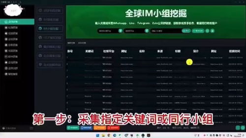 WhatsApp黑号不能群发,维护社交秩序的必要举措