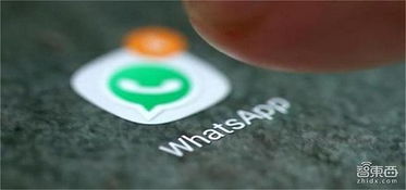 whatsapp开放,解锁社交新体验