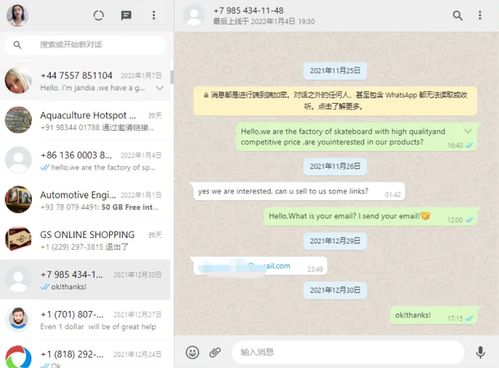 whatsapp大陆使用方法,WhatsApp大陆使用攻略全解析