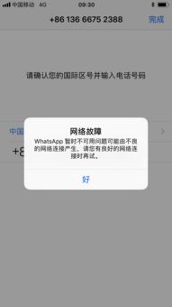 whatsapp 一直不在线,背后真相揭晓！”