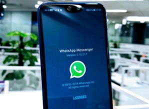 whatsapp复制,全球即时通讯的桥梁