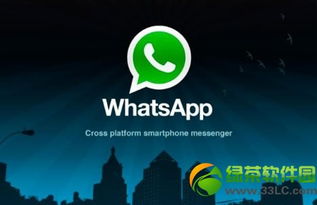 whatsapp 为什么加不了人,探究背后原因及解决方案