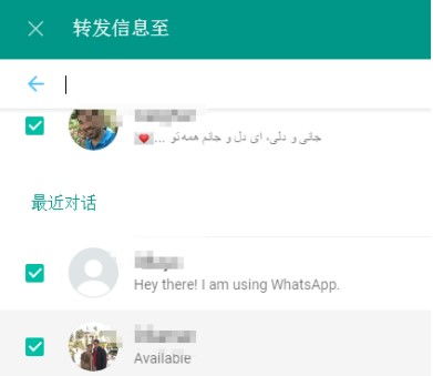 whatsapp电脑版视频闪退,WhatsApp电脑版视频播放闪退问题解析与解决攻略