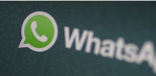 whatsapp和推特,社交巨头如何塑造现代沟通方式