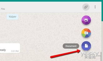 whatsapp的用户文件,社交隐私与数据安全探秘