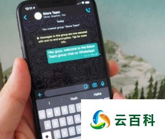 whatsapp的语音扬声器播放,WhatsApp语音通话扬声器播放功能详解与优化技巧