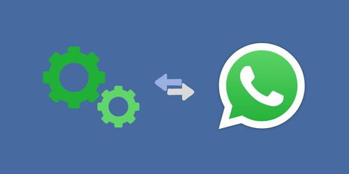whatsapp 团队,提升沟通效率