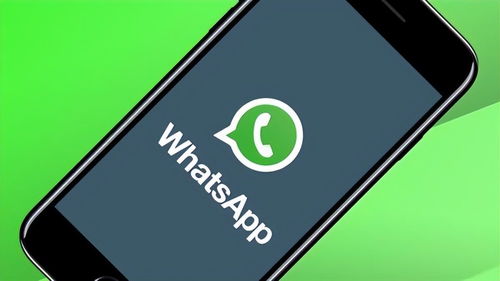 whatsapp 文案,提升转化率