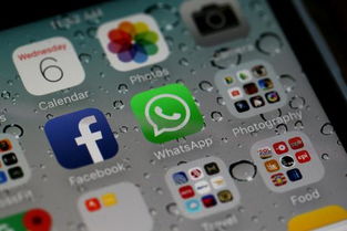 whatsapp发动图,社交巨头如何引领即时通讯新潮流