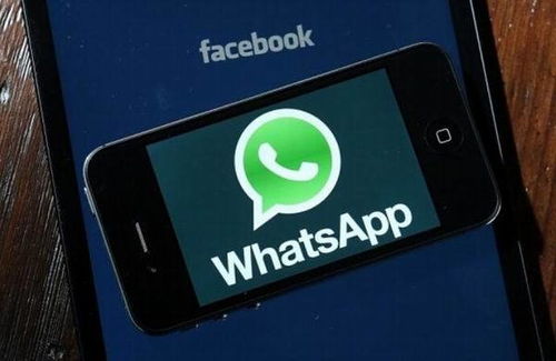 whatsapp加美国加州电话,加州创新通讯巨头与全球电话网络的融合之旅