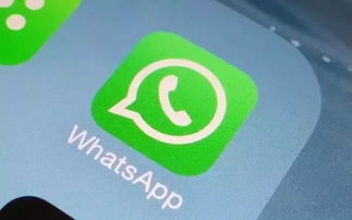 whatsapp多久能撤回信息,了解撤回功能的时效性