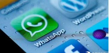 whatsapp安全嗎,保障沟通无忧