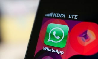 whatsapp回归,从即时通讯到社交生态的演变之路