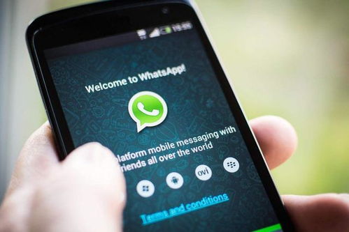 whatsapp国内使用加密吗,WhatsApp国内使用加密情况概述