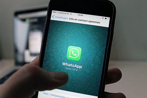 whatsapp clear 是什么,揭秘这款神秘功能的强大作用