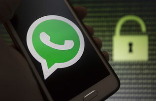 whatsapp黑客群,警惕新型网络骗局！”
