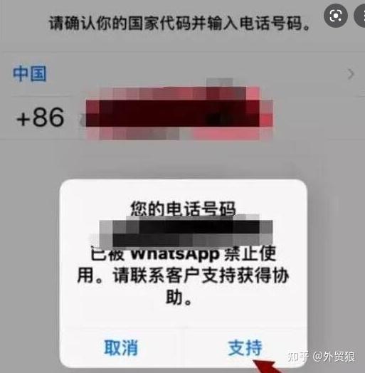 whatsapp的常见问题,WhatsApp常见问题解答概览