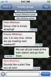 whatsapp business手机版,企业沟通与客户服务新利器