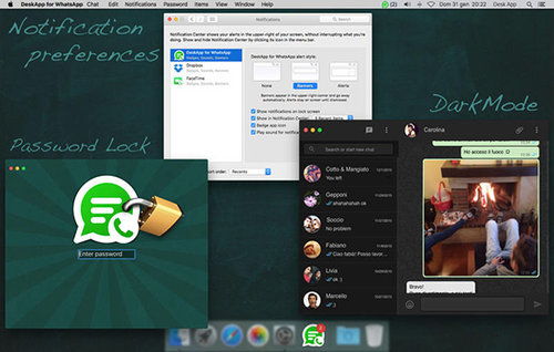whatsapp 的mac下载,畅享跨平台沟通体验