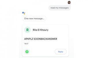 whatsapp读不了信息,原因及解决方法