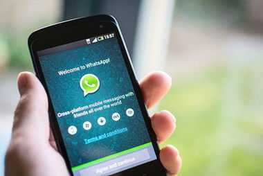 2019年新版whatsapp,功能升级与用户体验革新