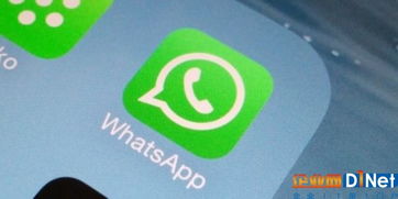whatsapp  人,跨越国界的即时通讯革命