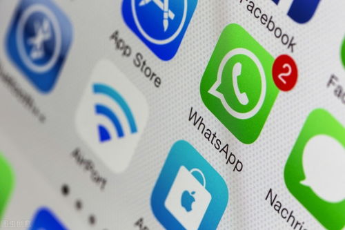 whatsapp动态23小时就不见了,23小时后成谜