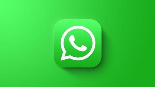 whatsapp开发,新手指南与技巧解析