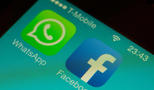whatsapp的信息发不出,无法生成。