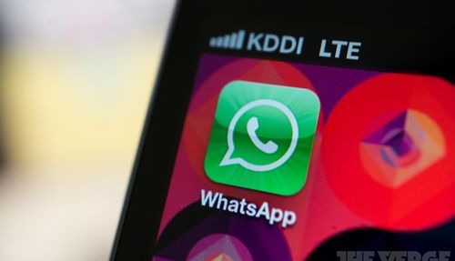 whatsapp检测登录时间,追踪隐私的足迹