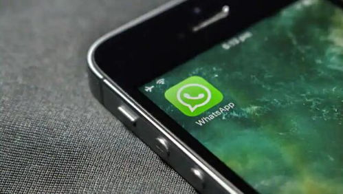 whatsapp gb baixa,揭秘这款热门聊天应用的魅力与功能