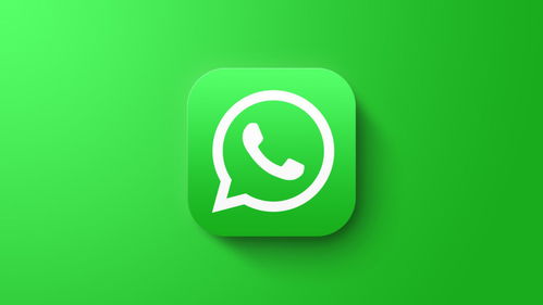whatsapp 下载后说日期,下载后日期揭示的隐私秘密”