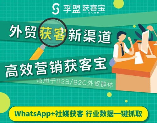 vatsap是whatsapp吗,揭秘两者之间的关联与差异